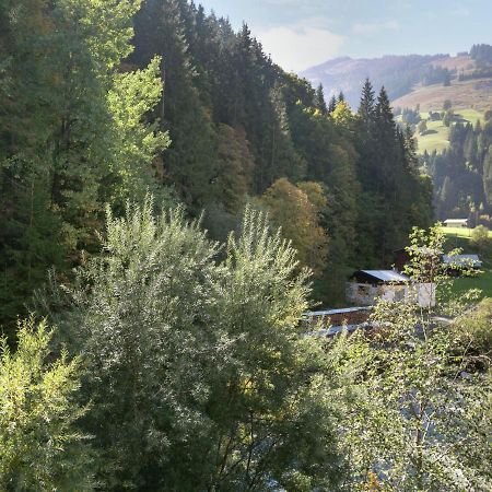 ויהופן Apartment In Salzburgerland Near The Ski Area מראה חיצוני תמונה
