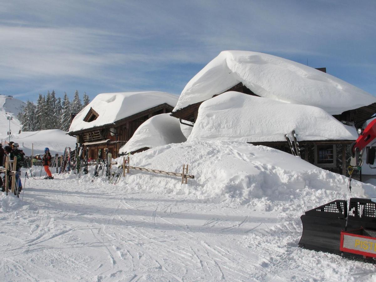 ויהופן Apartment In Salzburgerland Near The Ski Area מראה חיצוני תמונה