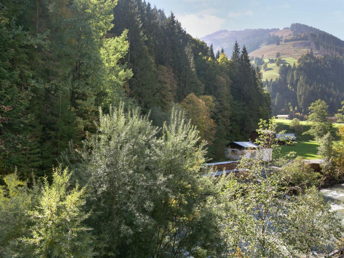 ויהופן Apartment In Salzburgerland Near The Ski Area מראה חיצוני תמונה