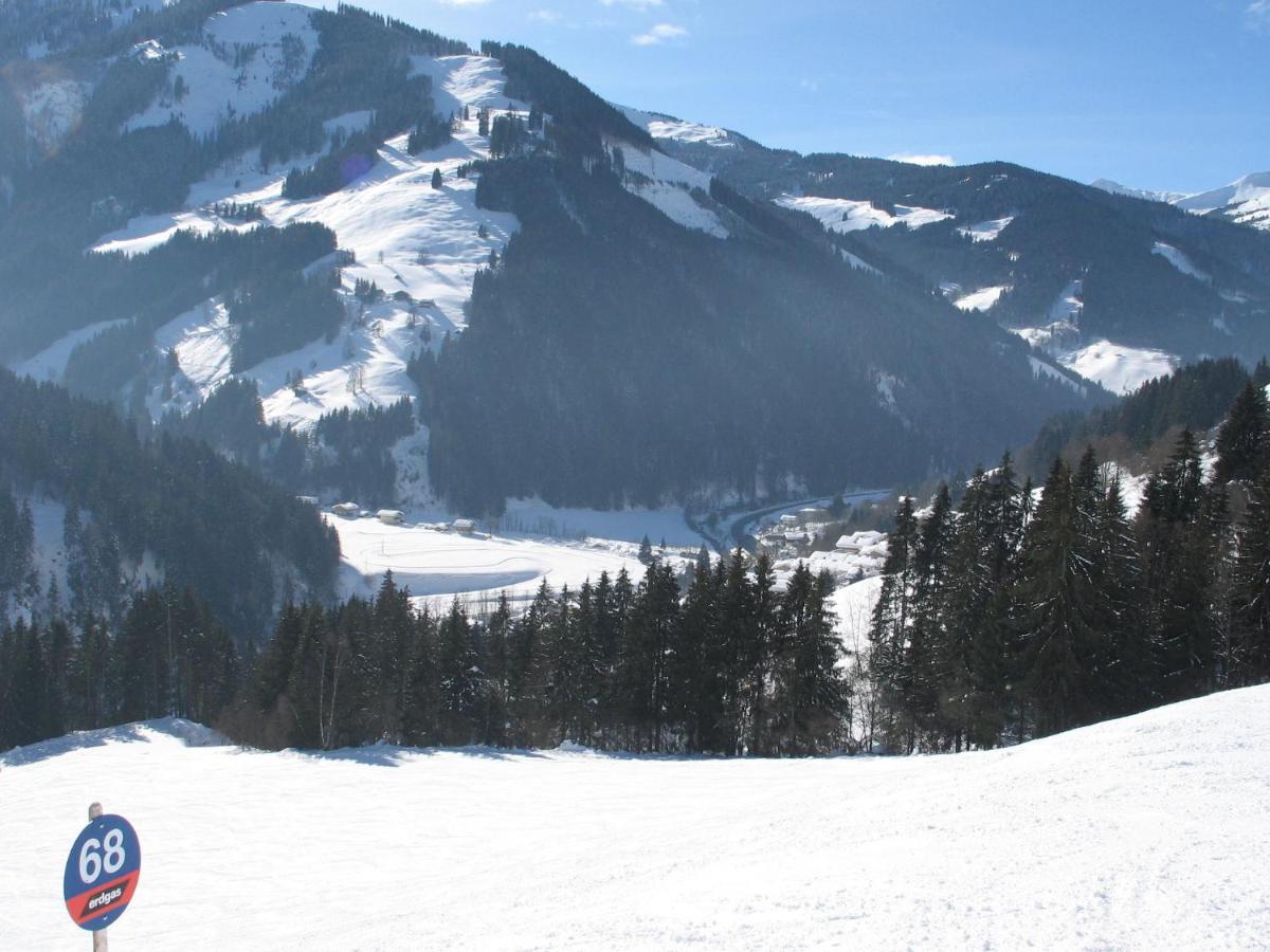 ויהופן Apartment In Salzburgerland Near The Ski Area מראה חיצוני תמונה